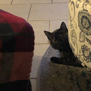 Meet your Posher, Holly